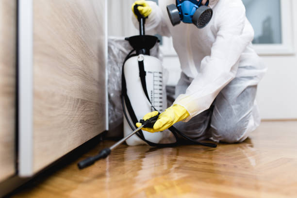 Best Pest Inspection Near Me  in Stottville, NY