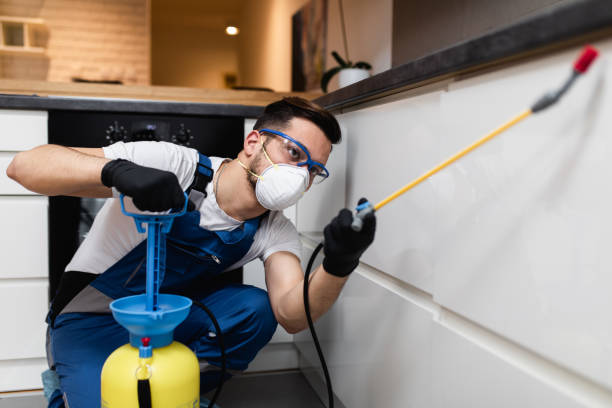 Best Cockroach Control Services  in Stottville, NY