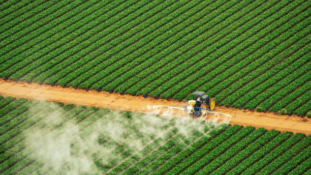 Best Commercial Pest Control Services  in Stottville, NY